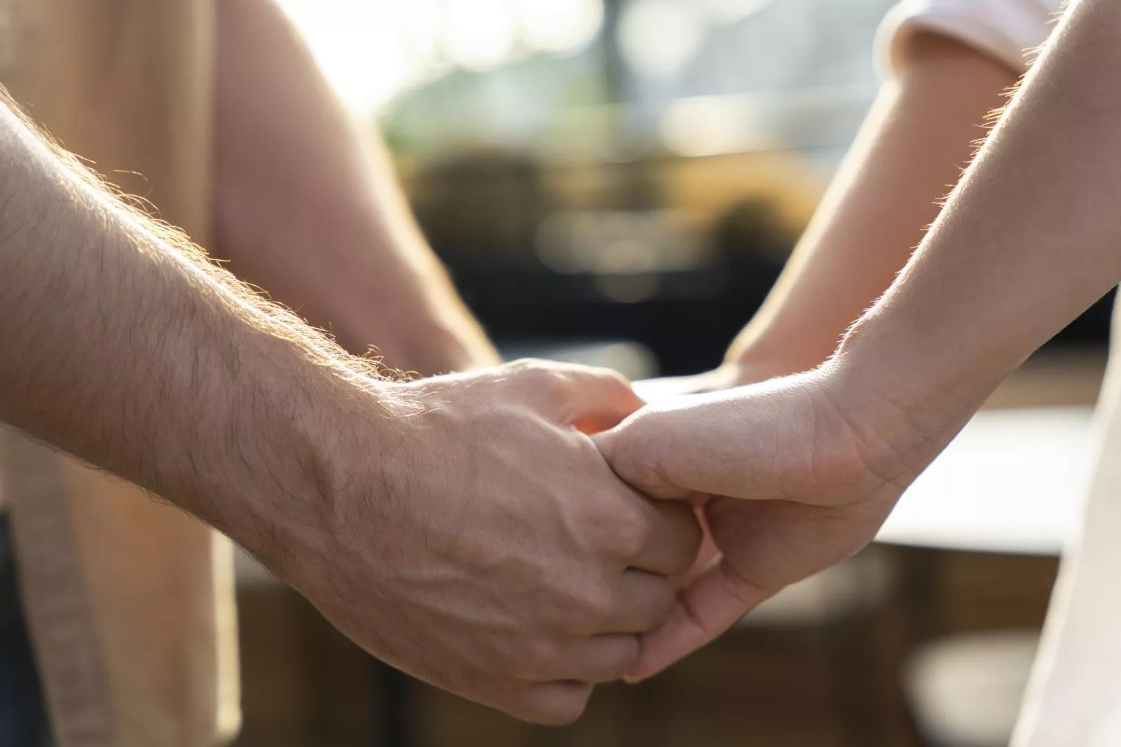 What Is the Difference Between a Companion and a Carer? Companionship Carers London