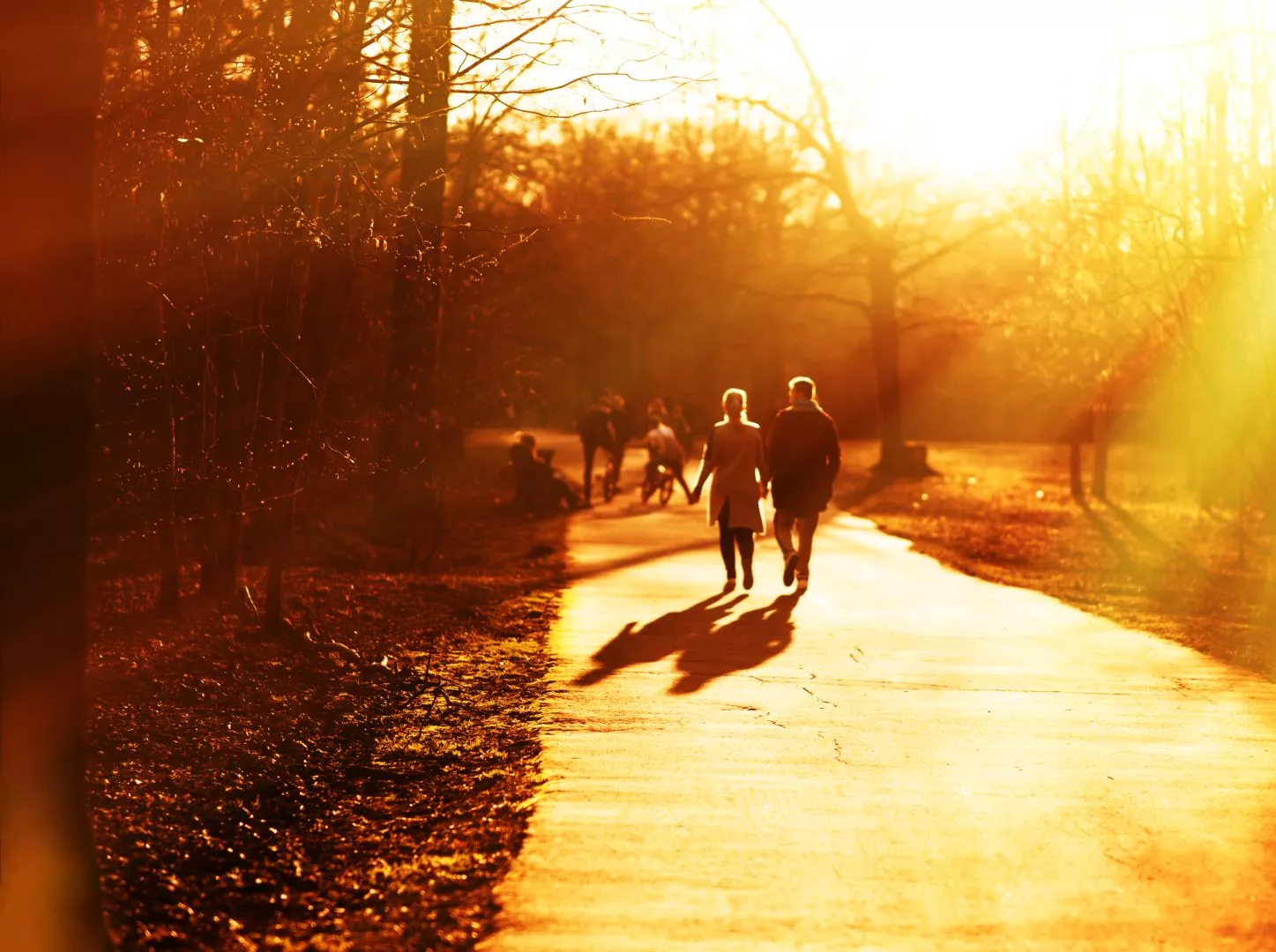 What are examples of companionship support?