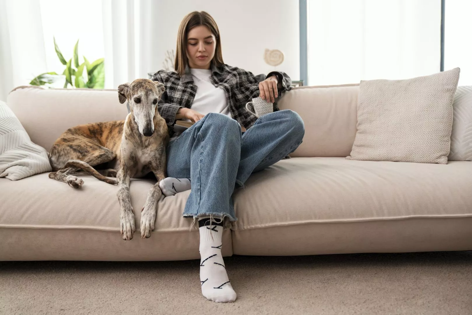 What Is Private Domiciliary Home Care | Domiciliary Care London