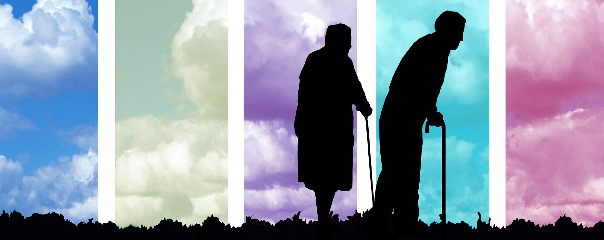 Adaptations For The Elderly And Disabled Adaptations For The Elderly And Disabled Image